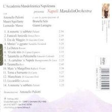 Napoli Mandolin Orchestra: Serenata Luntana, CD