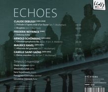 Tmesis Ensemble - Echoes, CD