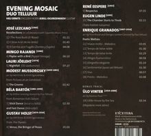 Duo Telluur - Evening Mosaic, CD