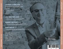 Peter Verhoyen - Piccolo Concerti, CD