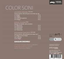 Gauguin Ensemble - Color Soni, CD