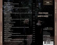 Musiktitel und Komponisten: Anton Webern, Piet Swerts, August De Boeck, Robert Schumann. Links ein Waldhintergrund.