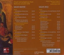 Salve Mater Salve Jesu, CD