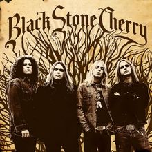 Black Stone Cherry: Black Stone Cherry (180g), LP