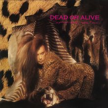 Text: "DEAD OR ALIVE, Sophisticated Boom Boom". Leopard- und Zebra-Muster, Person in Leoparden-Outfit, aggressives Tierkopf-Design.