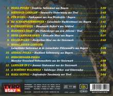 Echte Volksmusik a.d. Alpenland 2, CD
