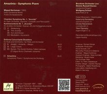 Miguel Kertsman (geb. 1965): Kammersymphonie Nr.1 "Acorda!", CD