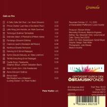 Peter Hudler - Cello on Fire, CD