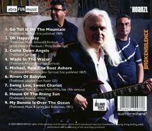 Abraham: Swing Low, Rock Hard, CD