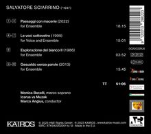 Salvatore Sciarrino (geb. 1947): Kammermusik "Paesaggi con macerie", CD