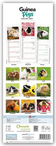"Guinea Pigs Calendar 2027." Fotos von Meerschweinchen für jeden Monat. Enthält Spezifikationen und Recyclinghinweis unten.