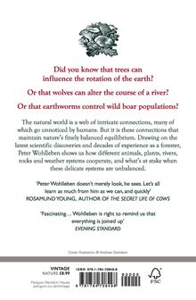 Peter Wohlleben: The Secret Network of Nature, Buch
