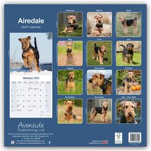 Avonside Publishing: Airedale Terrier 2025 - 16-Monatskalender, Kalender