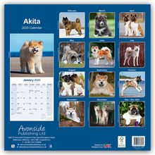 Avonside Publishing Ltd.: Akitas 2025 - 16-Monatskalender, Kalender