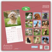 Avonside Publishing Ltd: Avonside Publishing Ltd: Cavapoo - Cavoodle 2025 - 16-Monats, Kalender