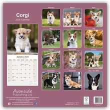 Avonside Publishing Ltd: Welsh Corgi 2025 - 16-Monatskalender, Kalender