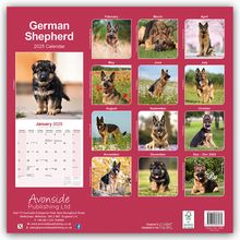 Avonside Publishing Ltd: German Shepherd - Deutsche Schäferhunde 2025 - 16-Monatskalender, Kalender