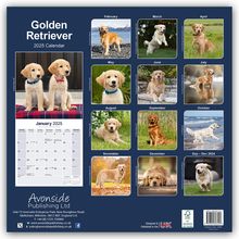 Avonside Publishing Ltd: Golden Retriever 2025 - 16-Monatskalender, Kalender