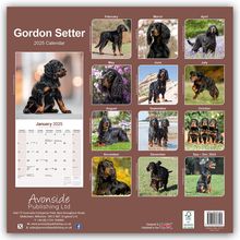 Avonside Publishing Ltd: Gordon Setter 2025 - 16-Monatskalender, Kalender