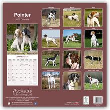 Avonside Publishing Ltd: Pointer 2025 - 16-Monatskalender, Kalender