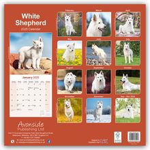Avonside Publishing Ltd.: White German Shepherd - Weißer Schäferhund 2025 - 16-Monatskalender, Kalender