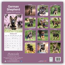 Avonside Publishing Ltd: German Shepherd Puppies - Deutsche Schäferhund Welpen 2025 - 16-Monatskalender, Kalender