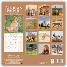 Avonside Publishing Ltd: African Wildlife - Afrikanische Tierwelt 2025 - 16-Monatskalender, Kalender