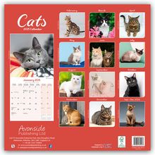 Avonside Publishing: Cats - Katzen 2025 - 16-Monatskalender, Kalender