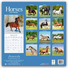 Avonside Publishing Ltd: Horses - Pferde 2025 - 16-Monatskalender, Kalender