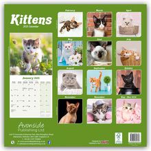 Avonside Publishing Ltd: Kittens - Kätzchen 2025 - 16-Monatskalender, Kalender