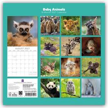 “Baby Animals, 16-Month 2027 Calendar.” Verschiedene Tierbabys, darunter Lemuren, Pinguine, Löwen, Panda und Eisbären.