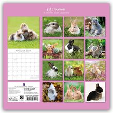 „Cute bunnies 16-Month 2027 Calendar“. Verschiedene Kaninchenfotos in einer rosa Kalenderübersicht.