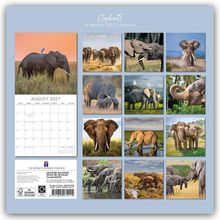 "Elephants 16-Month 2027 Calendar". Fotos von Elefanten in verschiedenen Landschaften, darunter ein Kalender für August 2027.