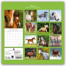 "Horses 16-Month 2027 Calendar" steht oben. Zwölf Fotos von Pferden in verschiedenen Posen vor grünem Hintergrund.