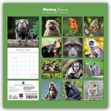 „Monkey Business, 16-Month 2027 Calendar.“ Oben zwölf Fotos von Affen; unten Monat August 2027 als Kalenderblatt.
