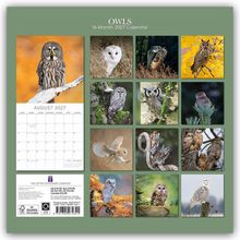 "OWLS 16-Month 2027 Calendar". August 2027 ist abgebildet. Eulenfotos in verschiedenen Posen und Umgebungen.