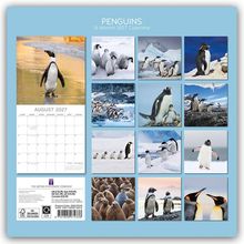 "Penguins, 16-Month 2027 Calendar," oben. Bilder von Pinguinen in verschiedenen Szenen und einem Kalender für August 2027.