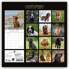 Text: "Cocker Spaniels 16-Month 2027 Calendar", "August 2027". Verschiedene Fotos von Cocker Spaniels in Feldern.