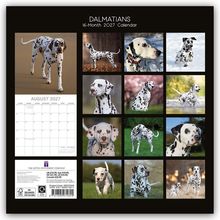 Text: Dalmatians 16-Month 2027 Calendar, August 2027. Verschiedene Fotos von Dalmatinern in unterschiedlichen Posen und Umgebungen.