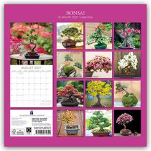 BONSAI, 16-Month 2027 Calendar. Fotos von Bonsai-Bäumen, Kalenderblatt August 2027, rosa Hintergrund.