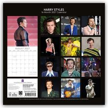 "HARRY STYLES 16-Month 2027 Calendar" steht oben. Darunter sind 12 Fotos von einer Person in verschiedenen Outfits. Links ein Kalenderblatt für August 2027.