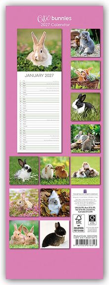 "Cute bunnies 2027 Calendar". Januar 2027 Kalenderblatt. Fotos von Kaninchen auf rosa Hintergrund.