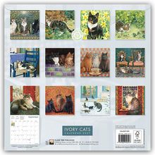 "IVORY CATS CALENDAR 2027" steht unten, oberhalb zwölf Katzen-Illustrationen in verschiedenen Szenen und Hintergründen.