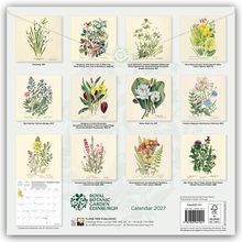 "Calendar 2027", "Royal Botanic Garden Edinburgh". Illustrationen von Pflanzen: Gräser, Blumen und Kräuter.