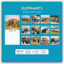 ELEPHANTS, 16-Month 2027 Calendar. Kalenderblatt Januar 2027. Verschiedene Fotos von Elefanten in der Natur.