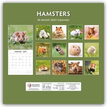 HAMSTERS, 16-Month 2027 Calendar. Kalender mit verschiedenen Hamsterbildern auf grünem Hintergrund.
