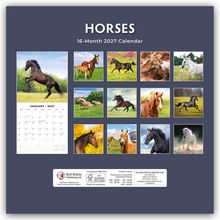 "HORSES", "16-Month 2027 Calendar". Fotos von Pferden in natürlicher Umgebung, diverse Farben und Bewegungen.