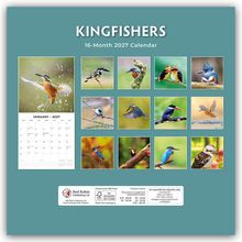 „KINGFISHERS, 16-Month 2027 Calendar.“ Ein Kalender mit Eisvogel-Fotos, darunter ein Bild für Januar 2027.
