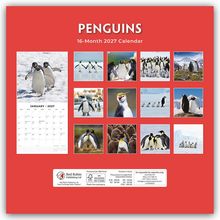 Text: "PENGUINS 16-Month 2027 Calendar." Zwölf Pinguinbilder, darunter ein Kalenderblatt für Januar 2027 mit Pinguinen im Schnee.