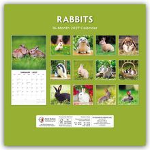 "RABBITS", "16-Month 2027 Calendar". Verschiedene Kaninchen in Natur- und Studioumgebungen auf grüner Fläche.